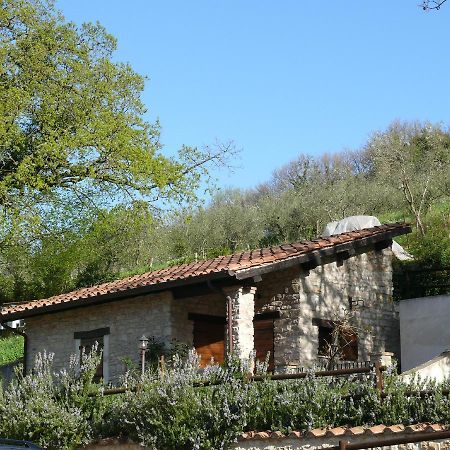 فيلا بيديلوكوفي Complesso Agrituristico La Ciriola المظهر الخارجي الصورة